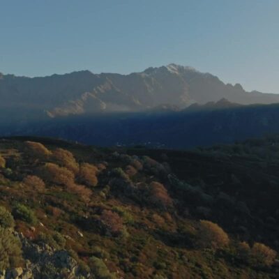 Aregno