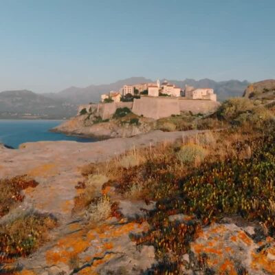 Calvi