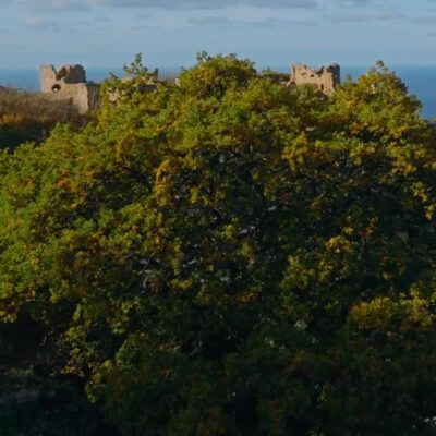Ruines en automne verticale