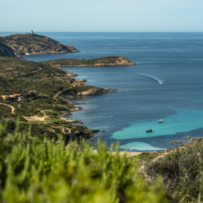 La Revellata Calvi