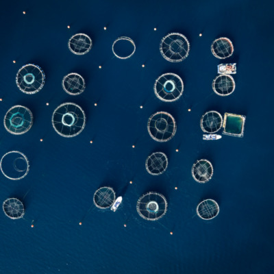 Parcs à poissons Ajaccio drone