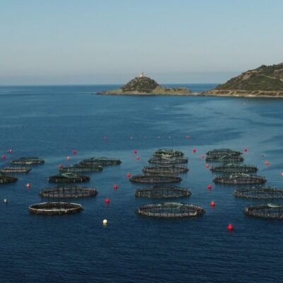 Parcs à poissons Ajaccio