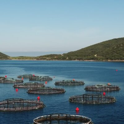 Parcs à poissons Ajaccio
