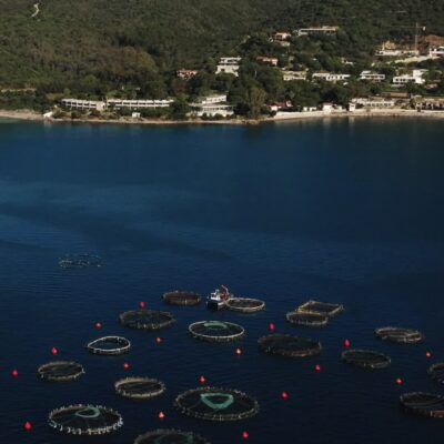 Parcs à poissons Ajaccio
