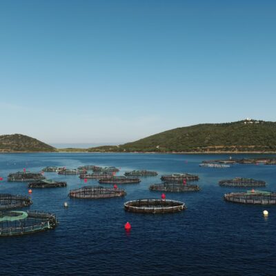 Parcs à poissons Ajaccio