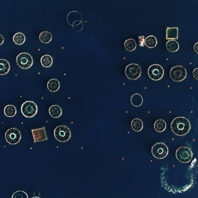 Parcs à poissons Ajaccio