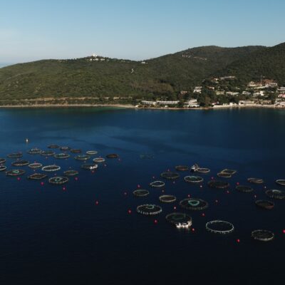 Parcs à poissons Ajaccio