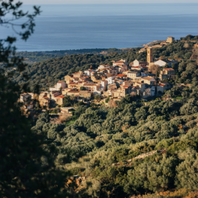 Aregno