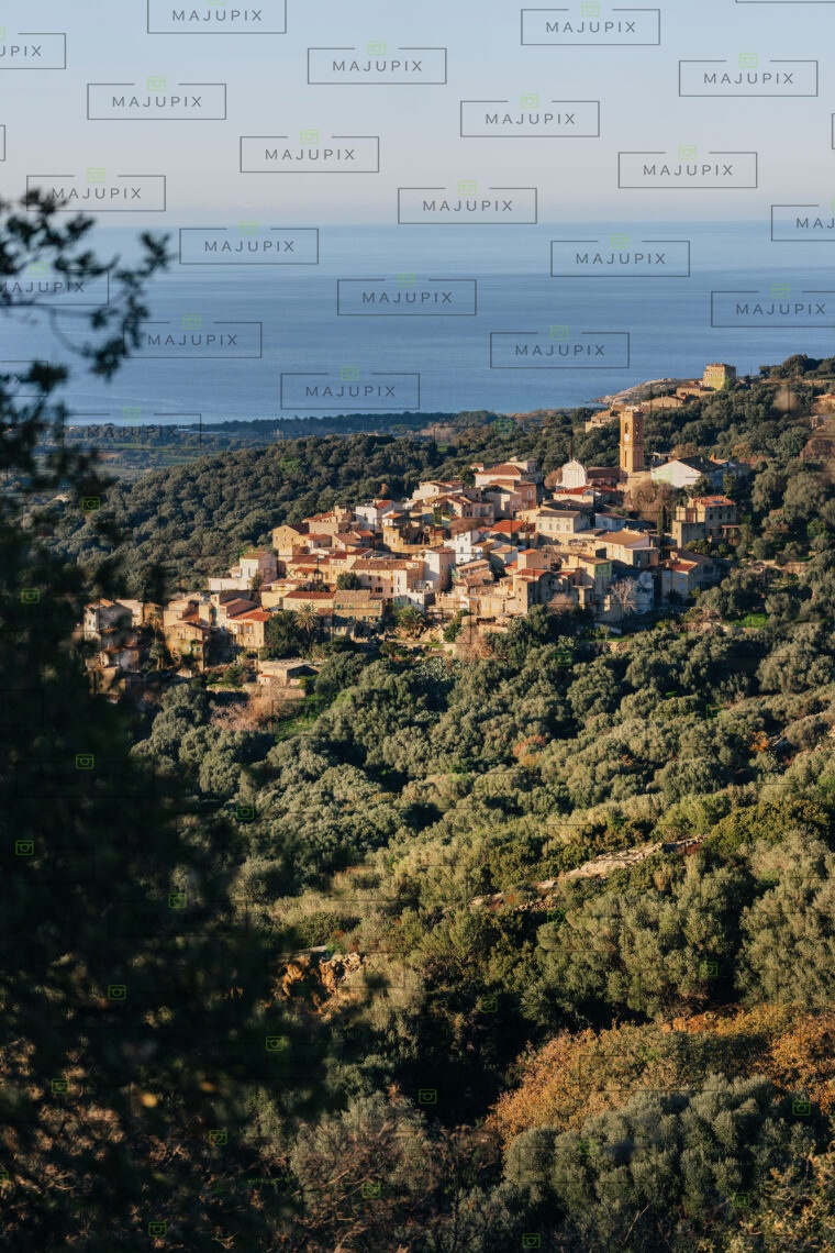 Aregno