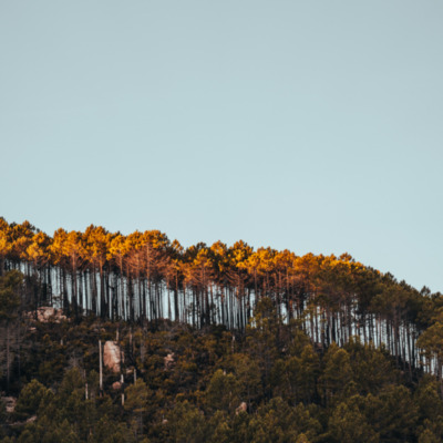Bavella au lever de soleil
