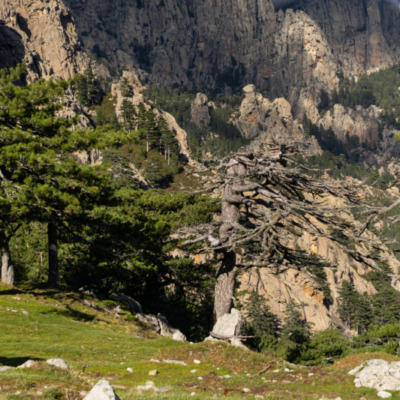 Col de Bavella