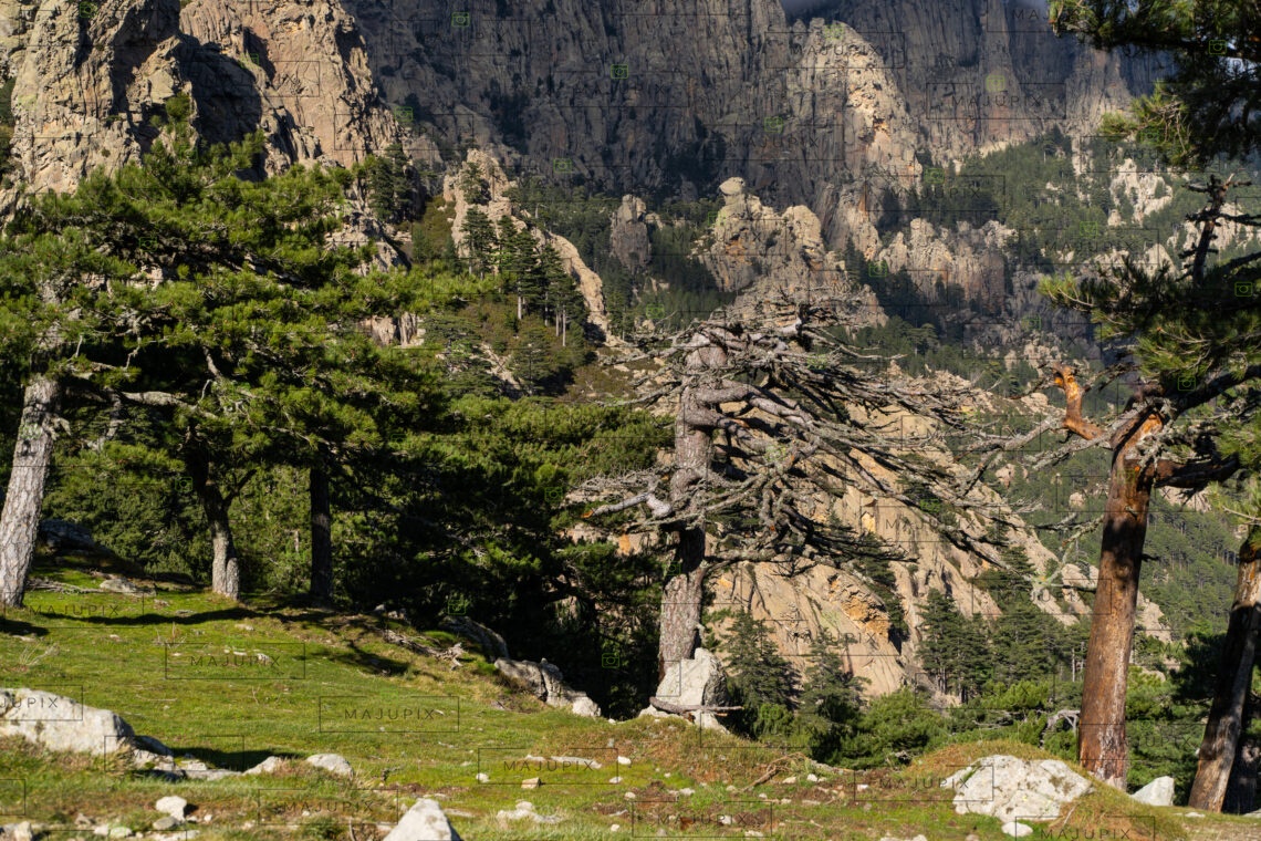 Col de Bavella