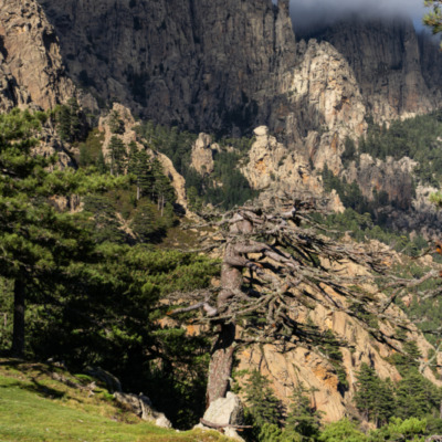 Col de Bavella