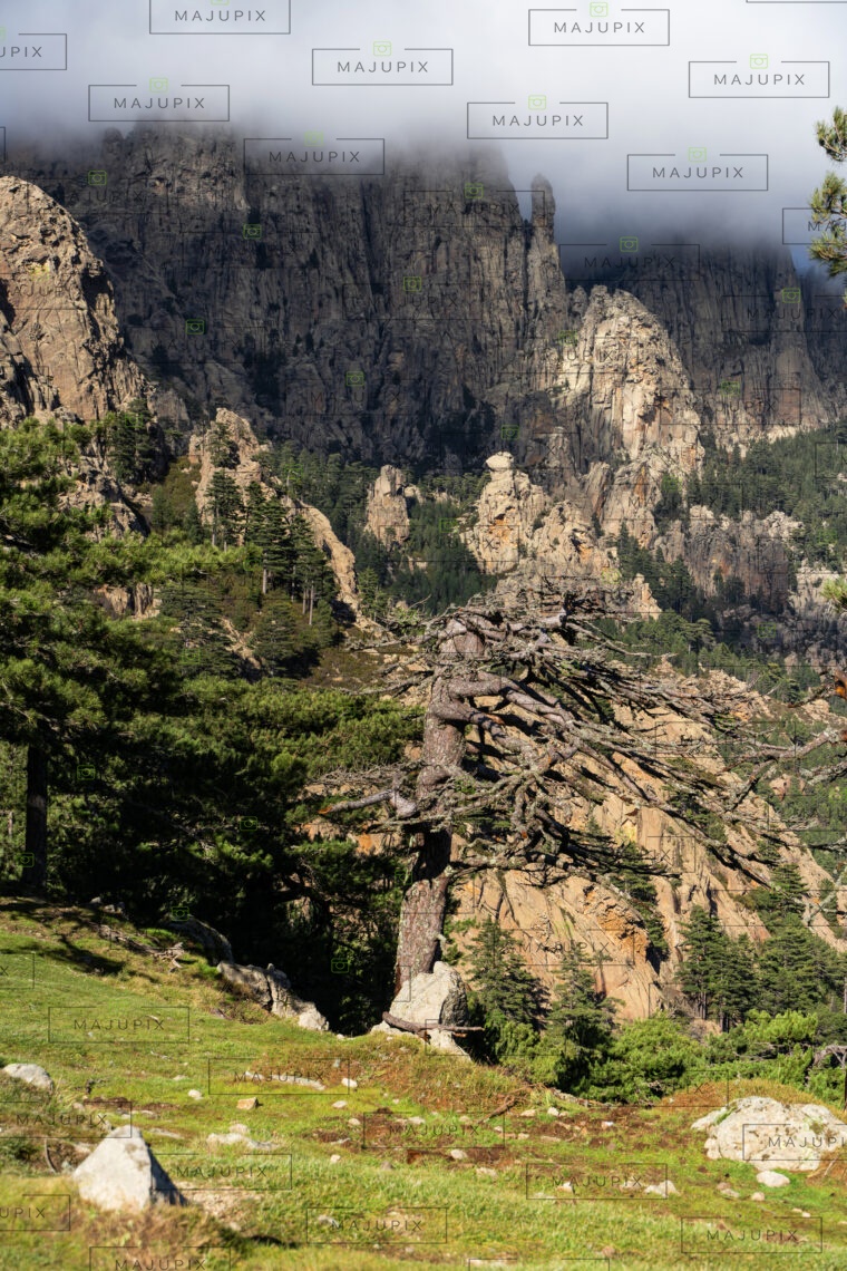 Col de Bavella