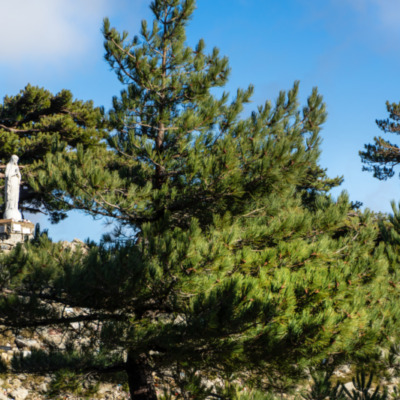 Notre Dame des Neiges Bavella