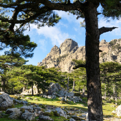 Col de Bavella