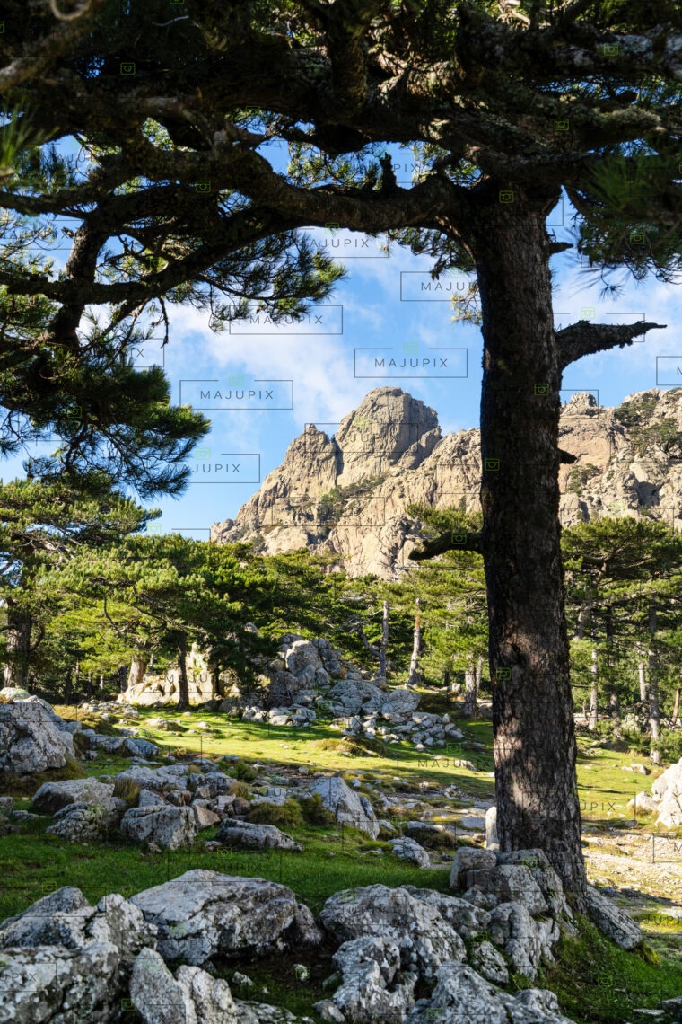 Col de Bavella