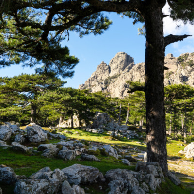 Col de Bavella