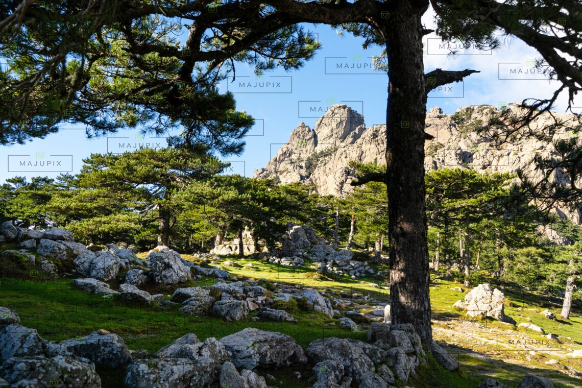 Col de Bavella