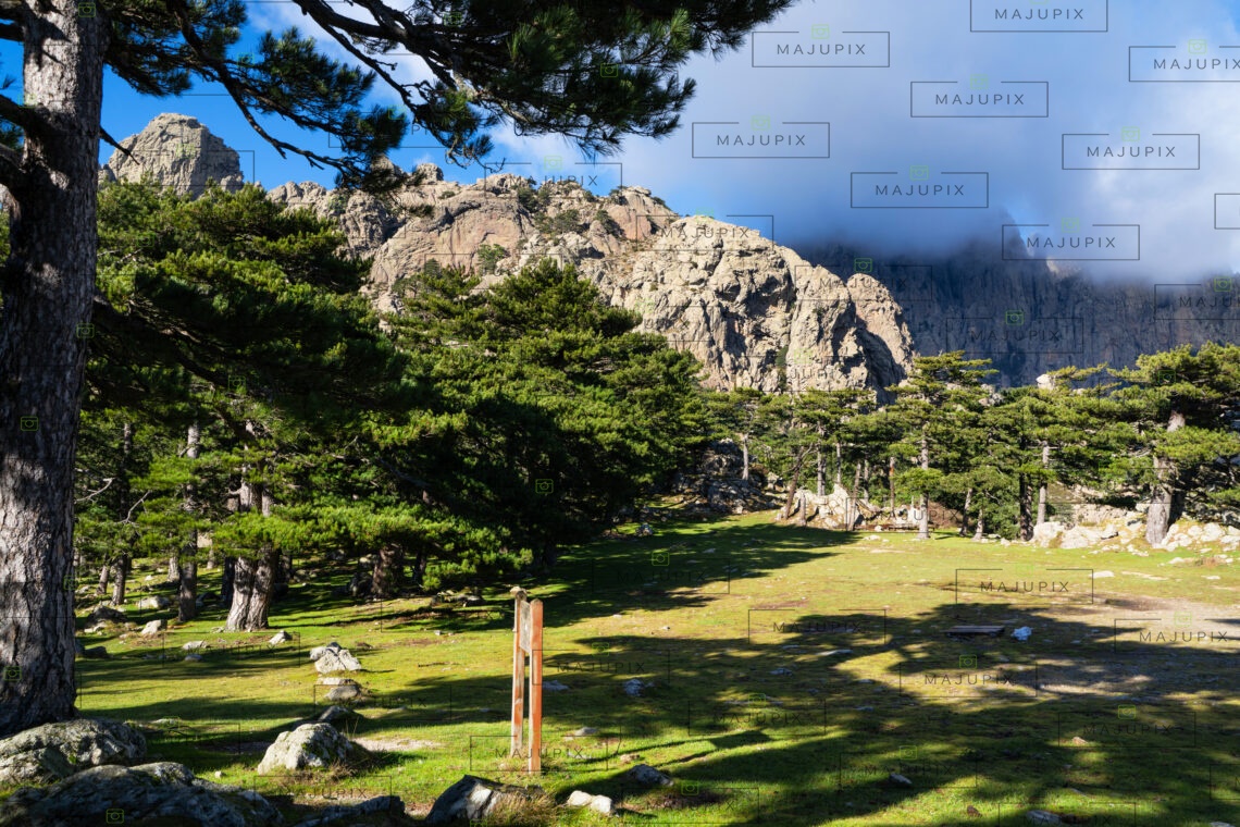 Col de Bavella