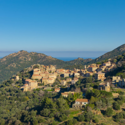 Belgodère