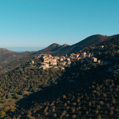 Belgodère