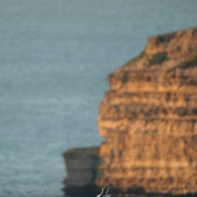 Falaises de Bonifacio