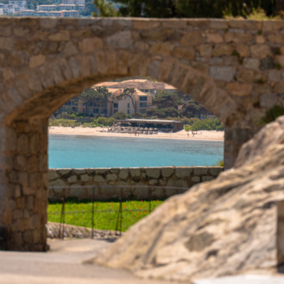 Calvi