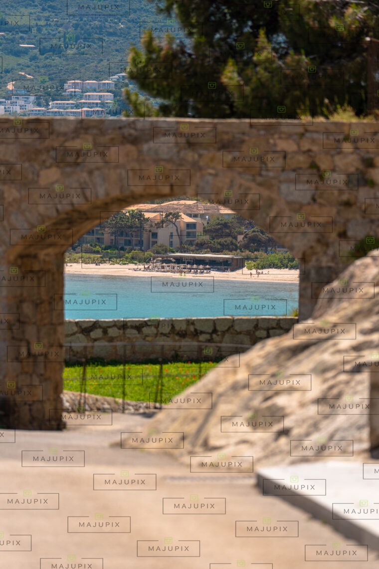 Calvi
