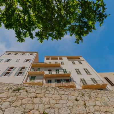 Calvi