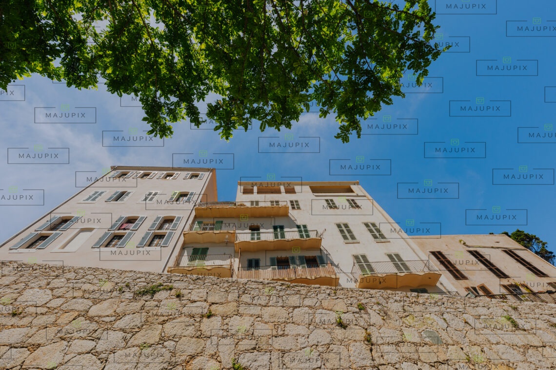 Calvi