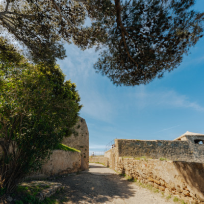 Calvi