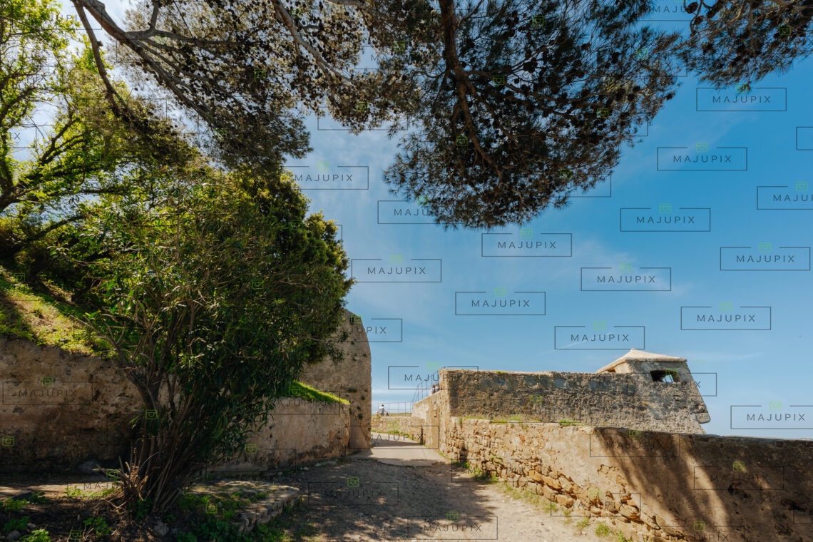 Calvi