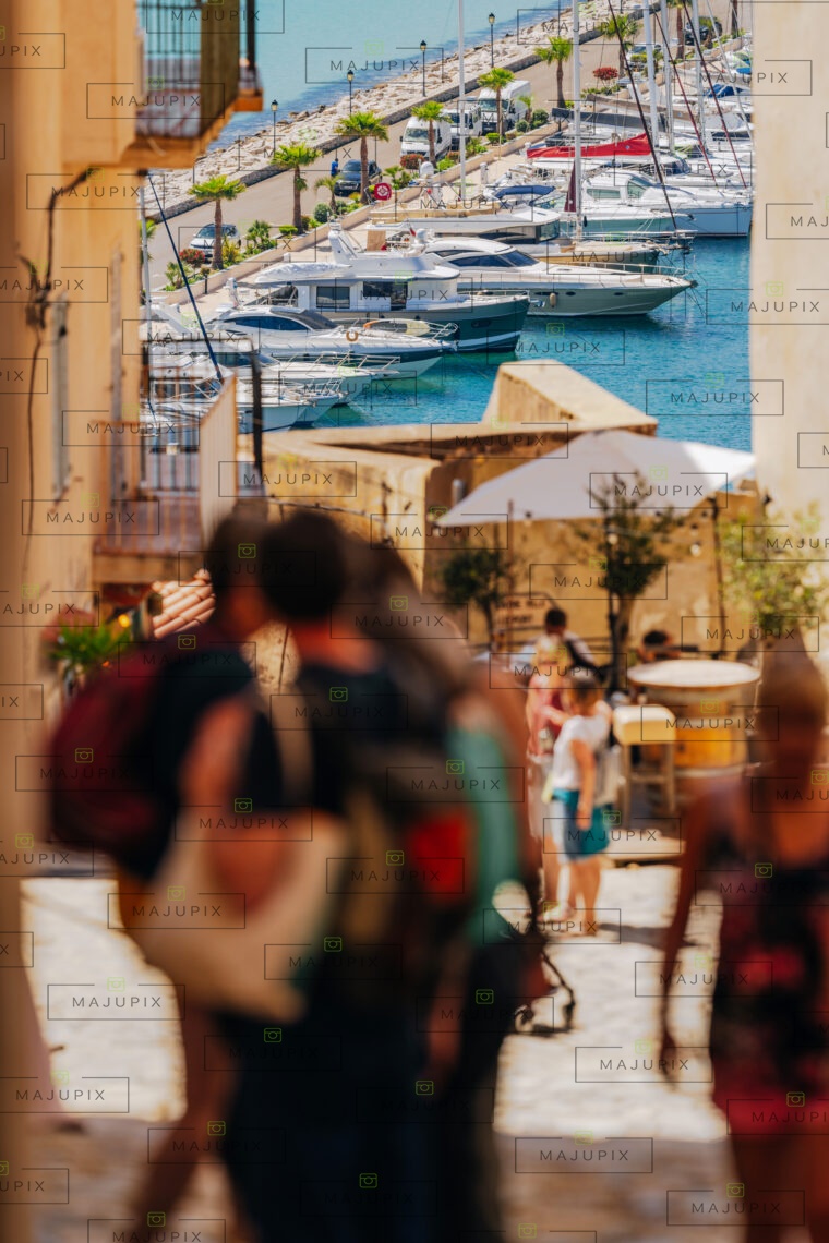Calvi