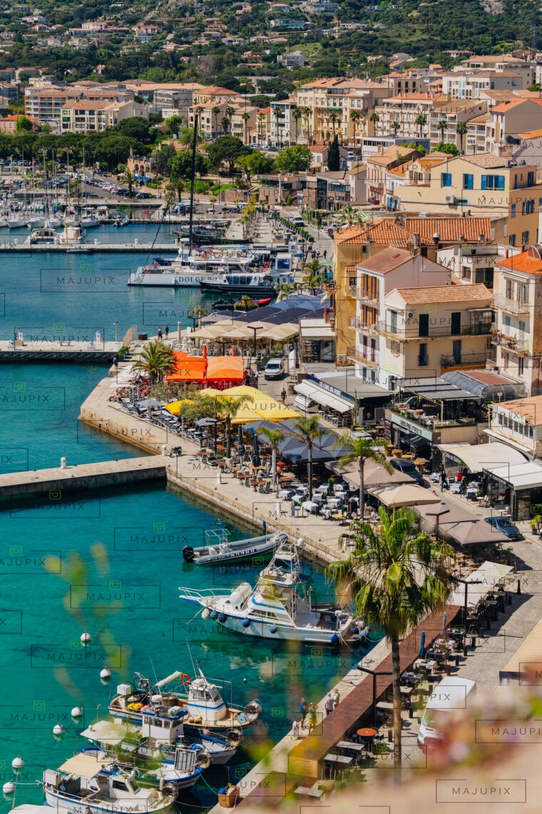 Calvi