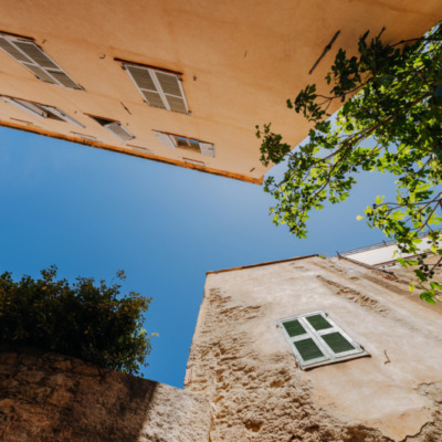 Calvi