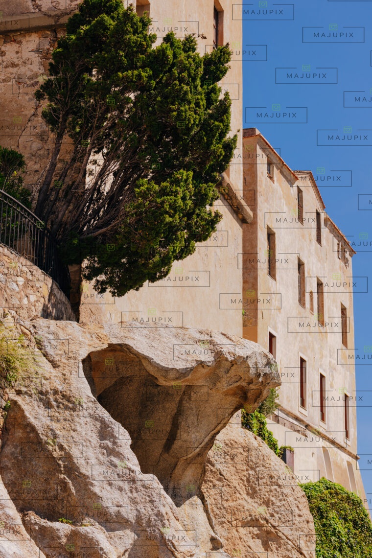 Calvi