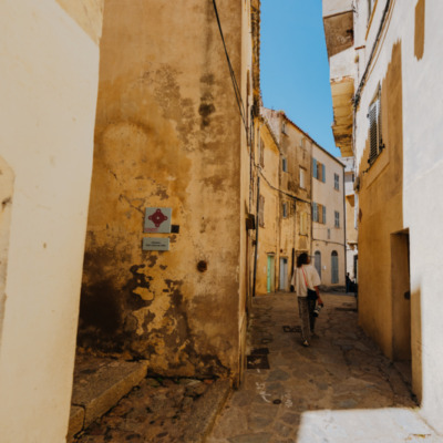 Calvi