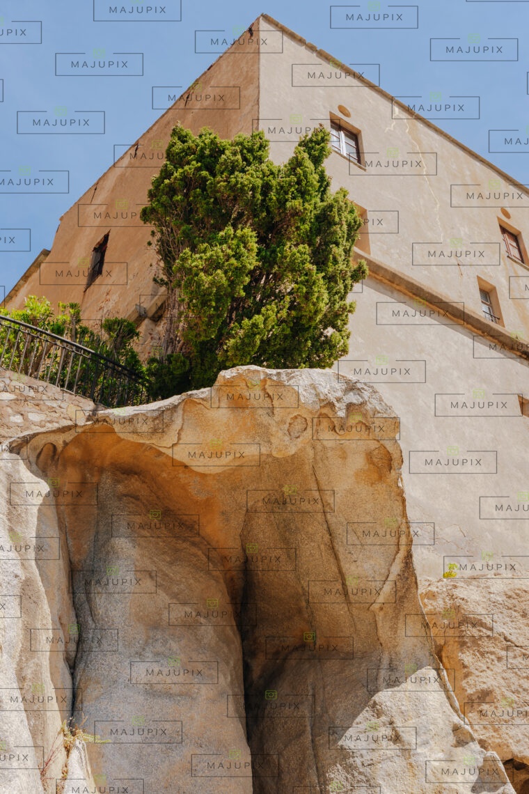 Calvi