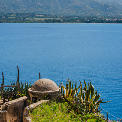Calvi