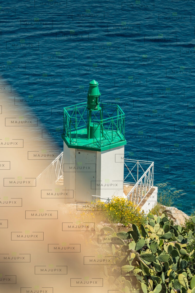 Calvi