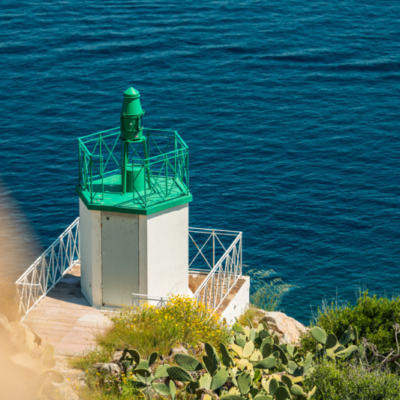 Calvi