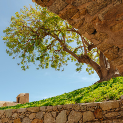 Citadelle de Calvi