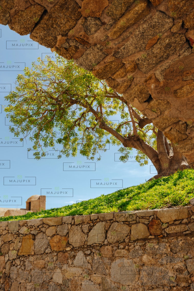 Citadelle de Calvi
