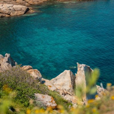 Calvi