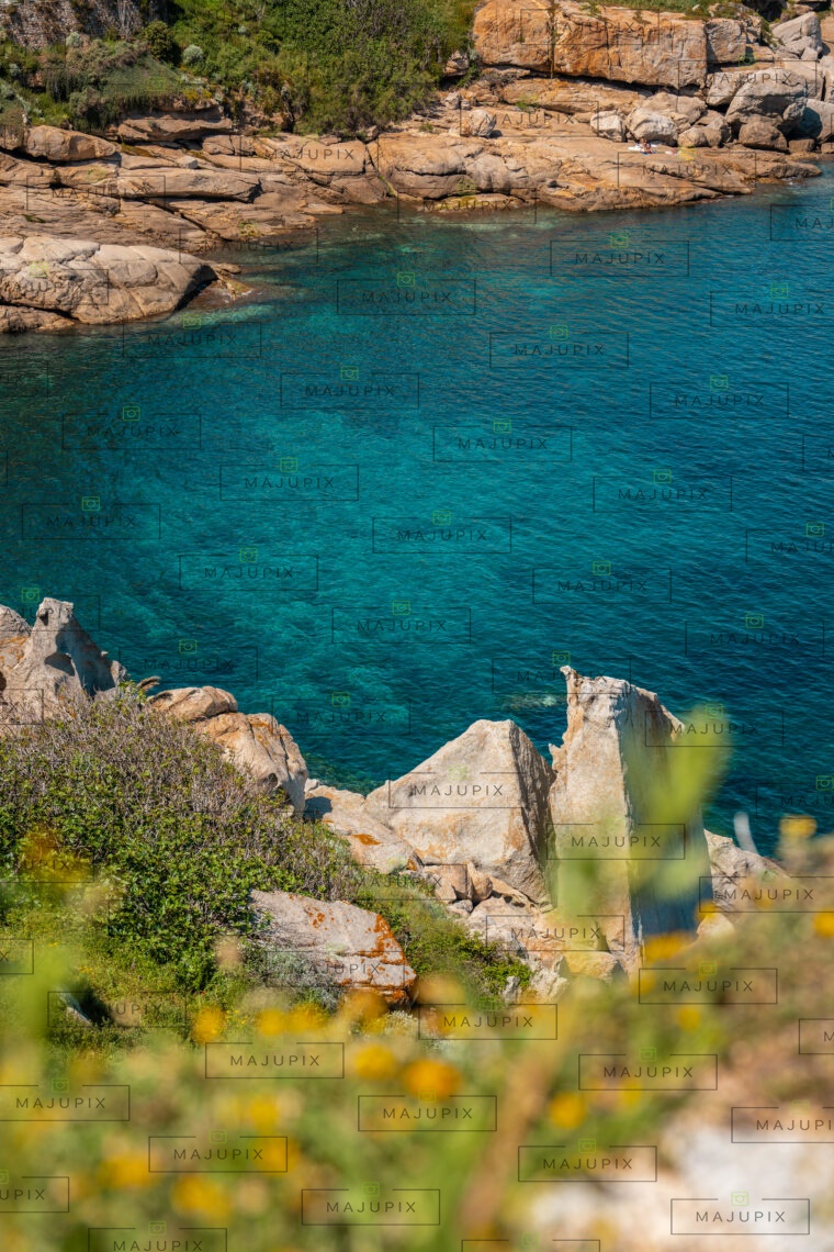 Calvi