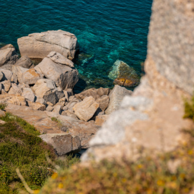 Calvi