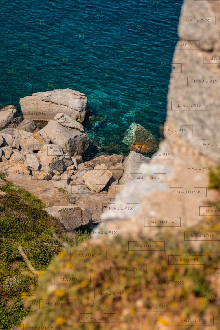Calvi