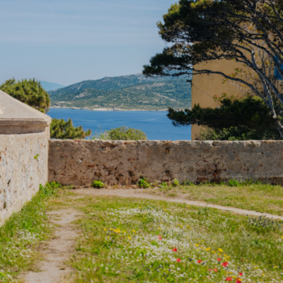 Citadelle de Calvi
