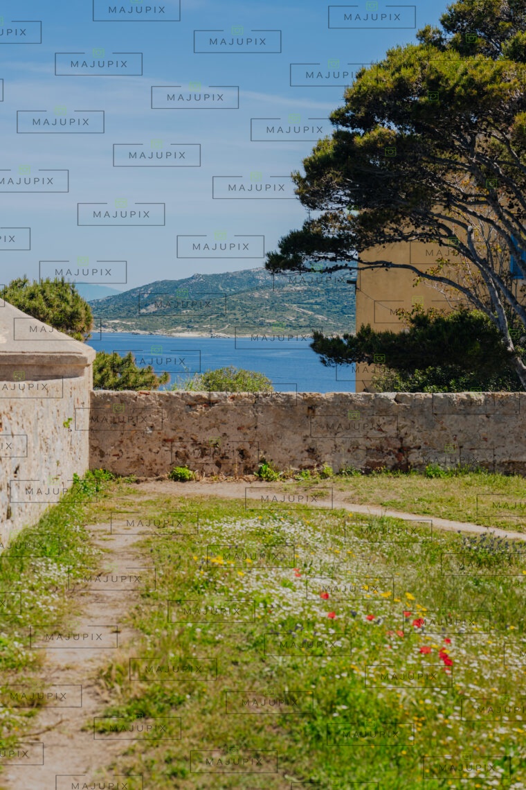 Citadelle de Calvi